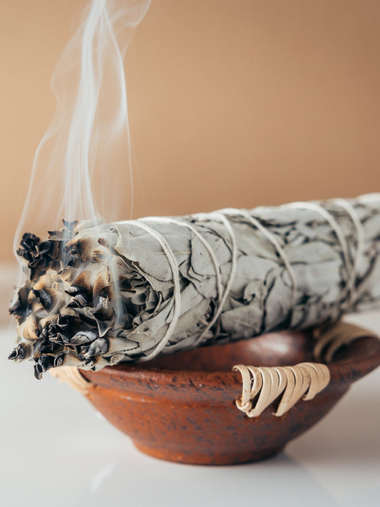 Gratis eBook "White Sage - Geheimnisse des weißen Salbei eBook" (Deutsch)