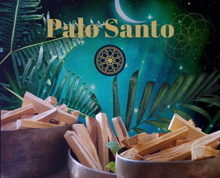 Palo Santo Holz - Was ist Palo Santo?